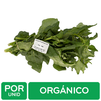 Espinaca Criolla Organica